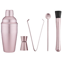 5 Piece Blush Aurora Cocktail Shaker Set