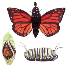 Kids' Monarch Life Cycle Puppet