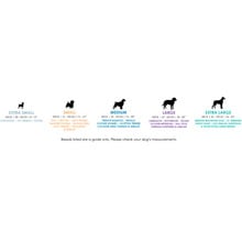 Trekpro Dog Collar