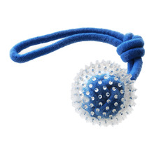 Blue Spiky Ball Tug Rope Dog Toy