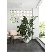 Whisper 132cm DC Ceiling Fan