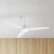 Whisper DC Ceiling Fan with LED