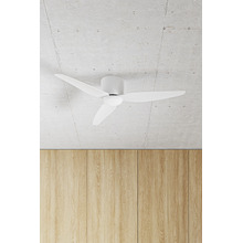 Whisper 112cm DC Low Profile 1Ceiling Fan with LED Light & Remote Control