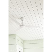 Whisper 132cm DC Ceiling Fan with Tri-Colour LED