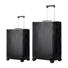 2 Piece Travel Luggage Set