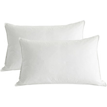 Micro-Plush Microfibre Standard Pillows (Set of 2)