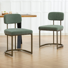 Ricano Velvet Dining Chairs (Set of 2)