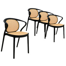 Selmer Outdoor Dining Chairs (Set of 4)