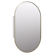 Caleb 560mm Pill Mirrored Shaving Cabinet
