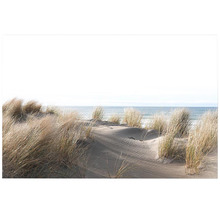 Sand Dune & Grass By The Beach Canvas Wall Art