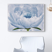 Gentle Bloom Stretched Canvas Wall Art