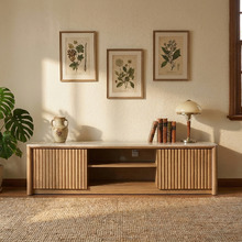 Ripley Entertainment Unit