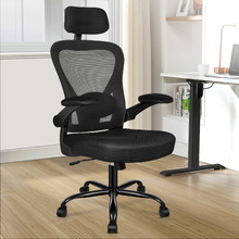 Hartmut High Back Mesh Office Chair