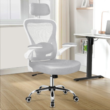 Hartmut High Back Mesh Office Chair