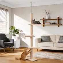 286cm Cecil Cat Tree