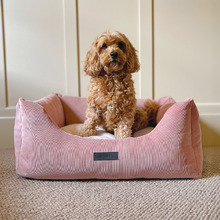 Corduroy Bolstered Dog Bed