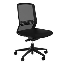 Davion Task Chair with Lumbar Back Support