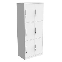 Mason 6 Door Locker