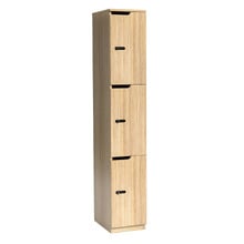 Gessner 3 Door Locker