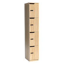 Gessner 4 Door Locker