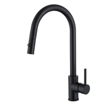 Rosa Pull-Out Kitchen Sink Mixer