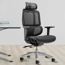 Kamala High-Back Ergonomic Office Chair
