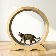 Eloisa Cat Exercise Wheel