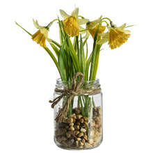 19cm Faux Daffodil Plant in Glass Jar