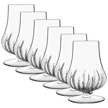 Mixology Spirits 230ml Cognac Glasses (Set of 6)