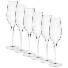 Vinea 200ml Champagne Flutes (Set of 6)