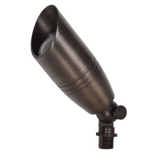 Orion Brass Garden Spike Light