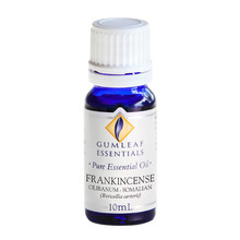 10ml Frankincense Olibanum Somalian Essential Oil