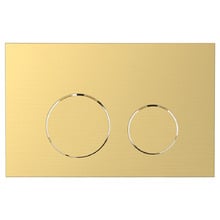 ADP Dual Flush Plate
