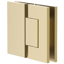 Glass To Glass Brass Shower Hinge