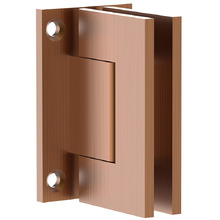 Brass Shower Wall Hinge