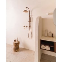 Soul Gooseneck Twin Shower
