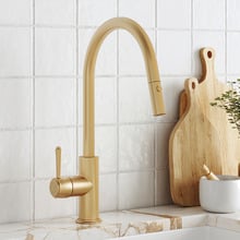 Eternal Brass Pull-Out Kitchen Mixer