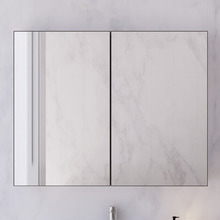Tennessee 2 Door Shaving Cabinet