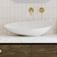 Fleur 630mm Gloss White Organic Ceramic Above Counter Basin