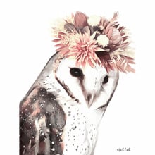 Owl Printed Wall Art