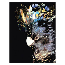 Cockatoo Printed Wall Art