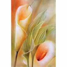 Callas Printed Wall Art