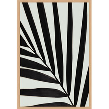 Graphic Palm Leaf I Printed Wall Art