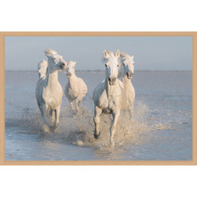 Horses Printed Wall Art