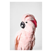 Pink Cockatoo Printed Wall Art
