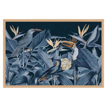 Blue Rainforest Birds Printed Wall Art
