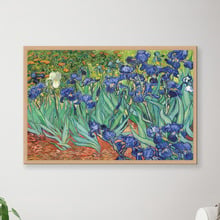 Van Gogh Irises Canvas Wall Art