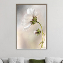 Heavenly Cosmos Canvas Wall Art