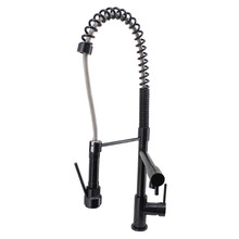 Pierre Multi-Function Kitchen Mixer