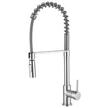 Spring Multi-Function Kitchen Mixer